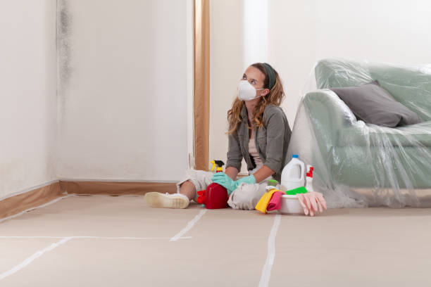 Reliable Mold Testing contractor in Manns Choice, PA by WQB Mold Removal